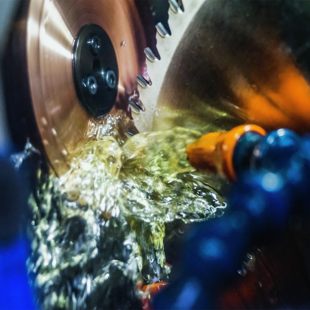 An image of carbide saw blade sharpening from Leitz Tooling